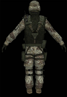 skin_desert_ct_1.jpg