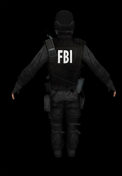 skin_fbi_ct_2.jpg